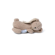 Load image into Gallery viewer, Heating Bag Snoogy Bunny
