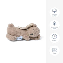 Load image into Gallery viewer, Heating Bag Snoogy Bunny
