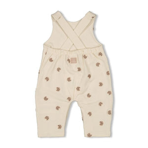 Overall Cute Cookie