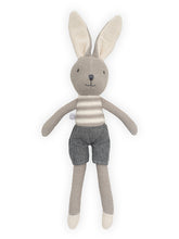 Load image into Gallery viewer, Cuddle Bunny Joey

