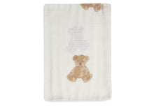 Load image into Gallery viewer, Hydrophilic Wash Cloth Teddy Bear (3 pcs)
