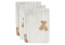 Load image into Gallery viewer, Hydrophilic Wash Cloth Teddy Bear (3 pcs)
