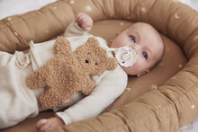 Load image into Gallery viewer, Pacifier Teddy Bear Biscuit
