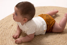 Load image into Gallery viewer, Panty Diaper Tiger Love
