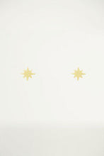 Load image into Gallery viewer, Earring Studs Assorted 50 styles
