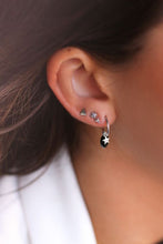 Load image into Gallery viewer, Earring Studs Assorted 50 styles
